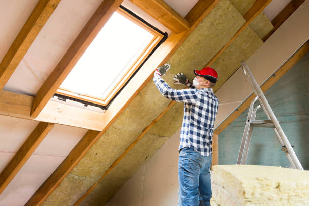 Trusted Newbern, TN Insulation Removal & Installation Experts